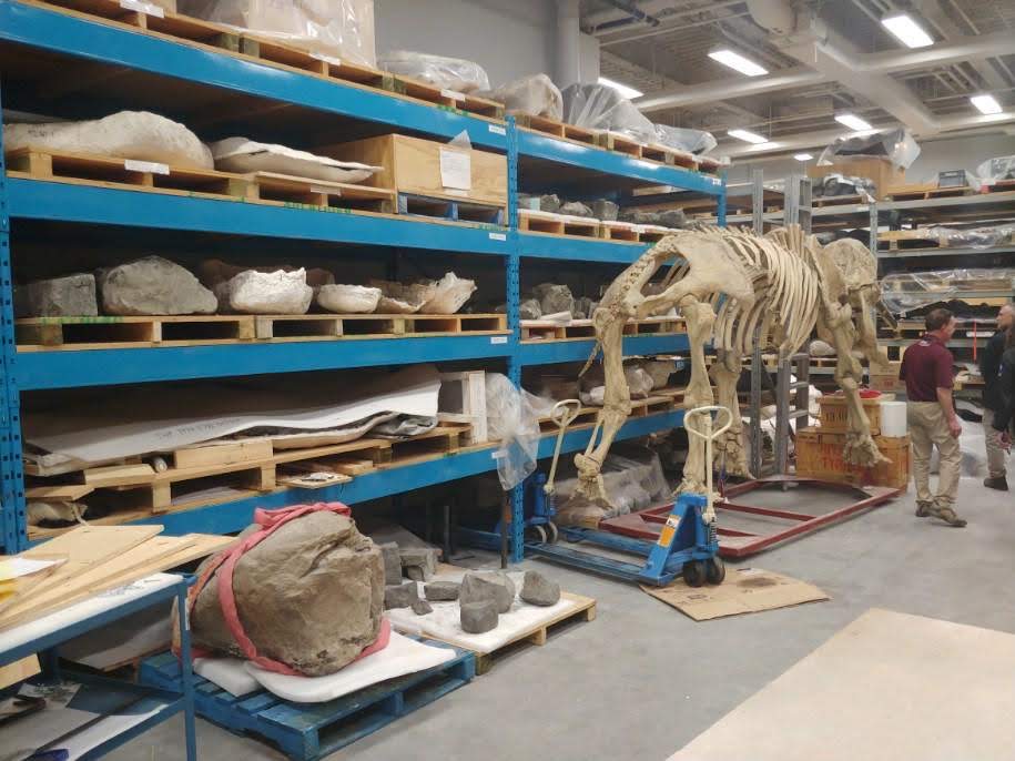 tyrrell museum of paleontology